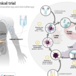 Cancer Research and the Role of Immunotherapy and mRNA