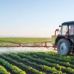 Land Management Strategies for Modern Property Owners